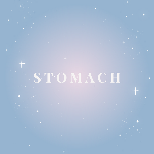 Stomach