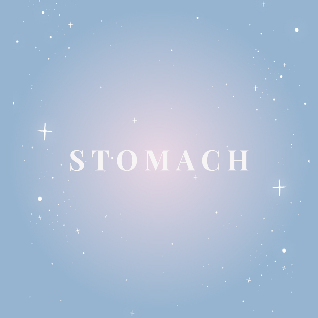 Stomach